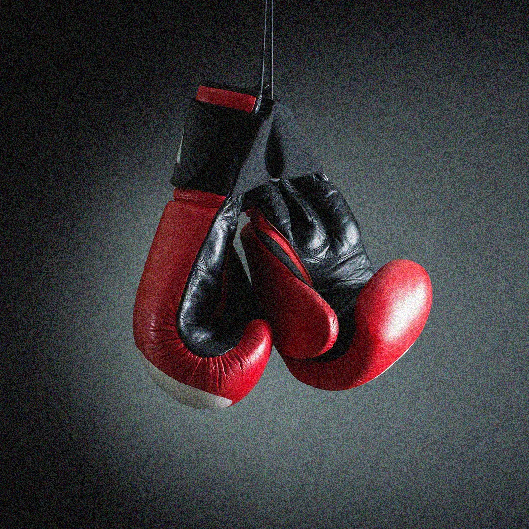 Custom Boxing Gloves